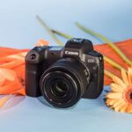 Canon RF 35 mm f/1,8 IS Macro STM - Imagen 5