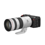 Canon EOS C50 - Imagen 6