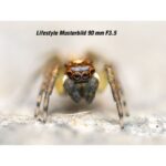 OM System M.Zuiko ED 90 mm F3,5 Macro IS Pro - Imagen 6